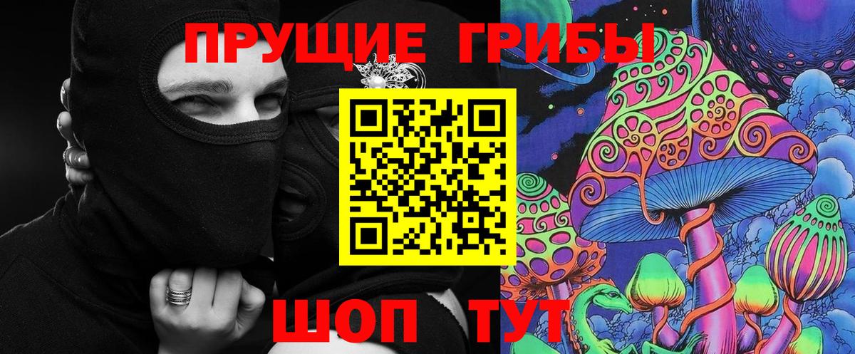 где купить наркотик  Галлюциногенные грибы Psilocybe  Вход с VPN  Горно-Алтайск  Псилоцибиновые грибы Cubensis 
