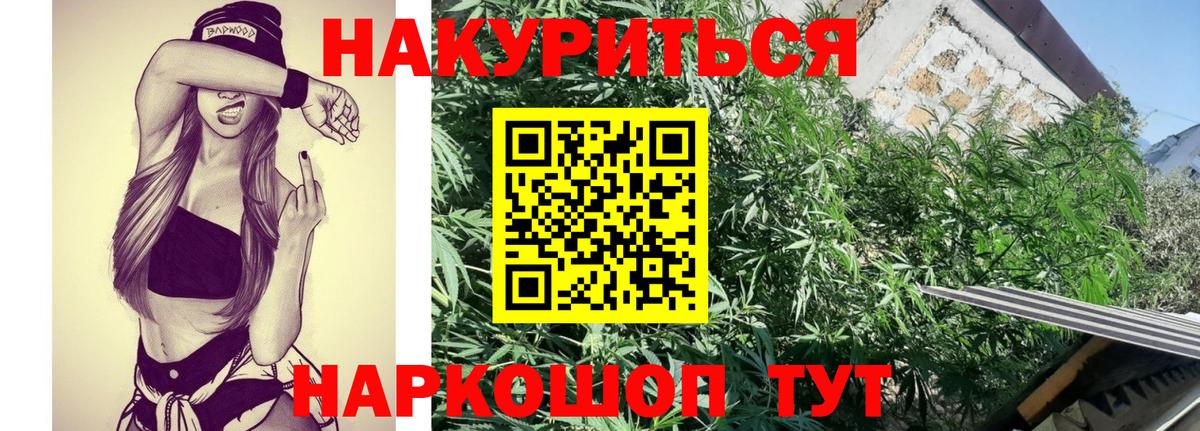 Бошки марихуана ГИДРОПОН Горно-Алтайск